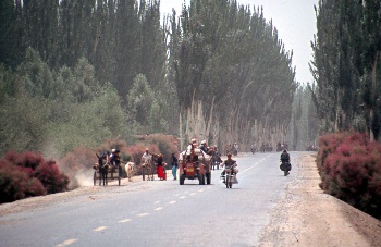 The main road leading south around the Taklamakan desert - here in a desert oasis.  