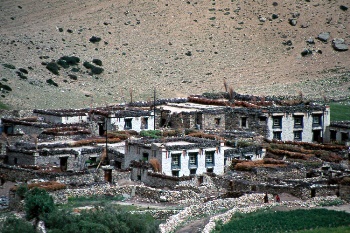 Tibetan houses